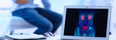 Appareil urogénital : anatomie et santé