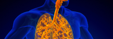 Apparato respiratorio e prevenzione