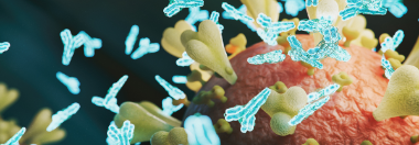 Protezione immunitaria