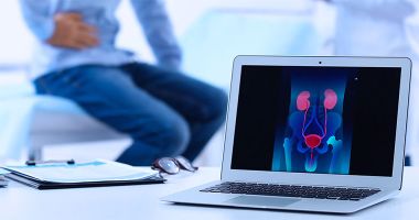 Appareil urogénital : anatomie et santé