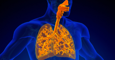 Système respiratoire et prévention