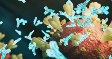 Protection immunitaire