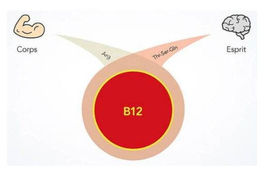 biovigor-schema-vitamina-aminoacidi-fr