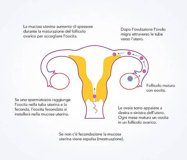 csm_ialuna_img1_ITA_a7c355a85a