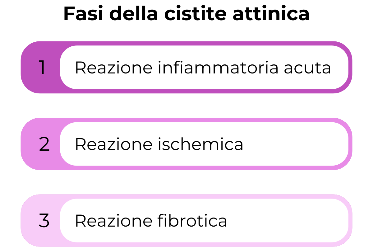 cistite-attinica-fasi