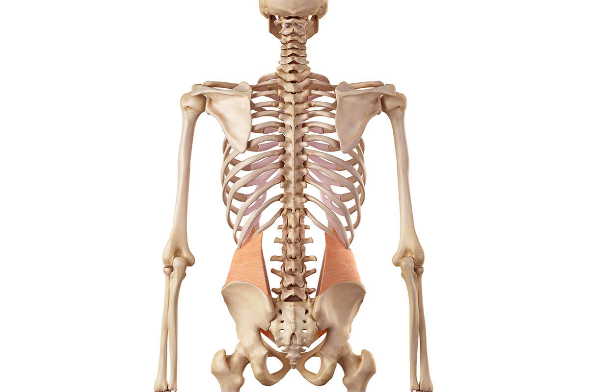 artrosi-articolazioni-colonna-vertebrale