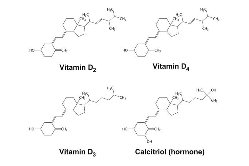 vitamind-calcitriol-2