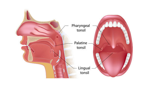 malanni-invernali-protezione-tonsil