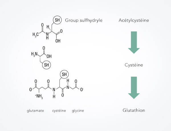 AcetylcysteinFR