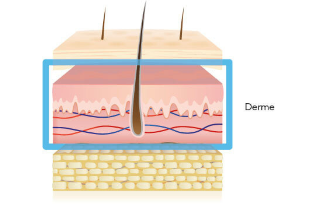 problemi-pelle-derma-fr