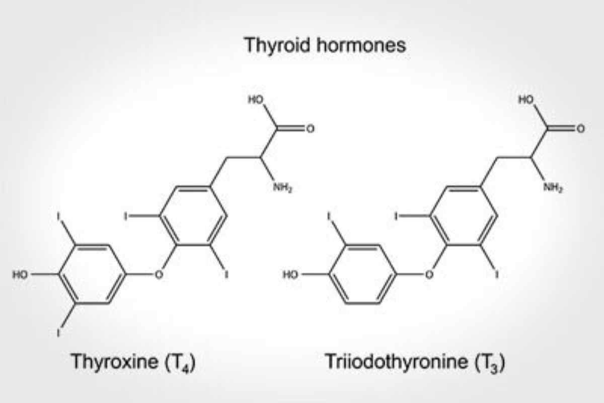 salute-tiroidea-tiroide-ormoni-tiroidei