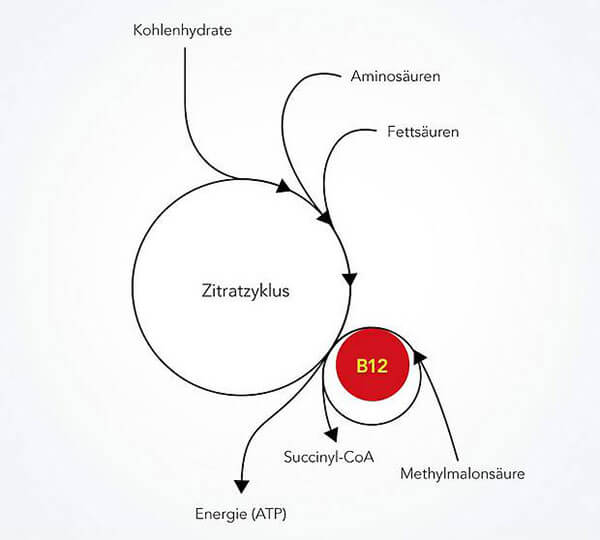 csm_Abbildung_3_d_6576fb78b1