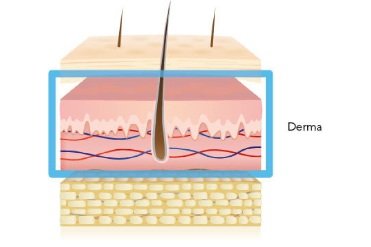 problemi-pelle-derma-it