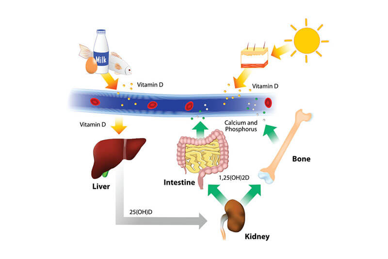 vitamind-1