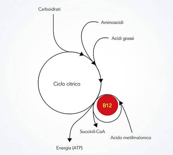 csm_Abbildung_3_i_5454ac5803