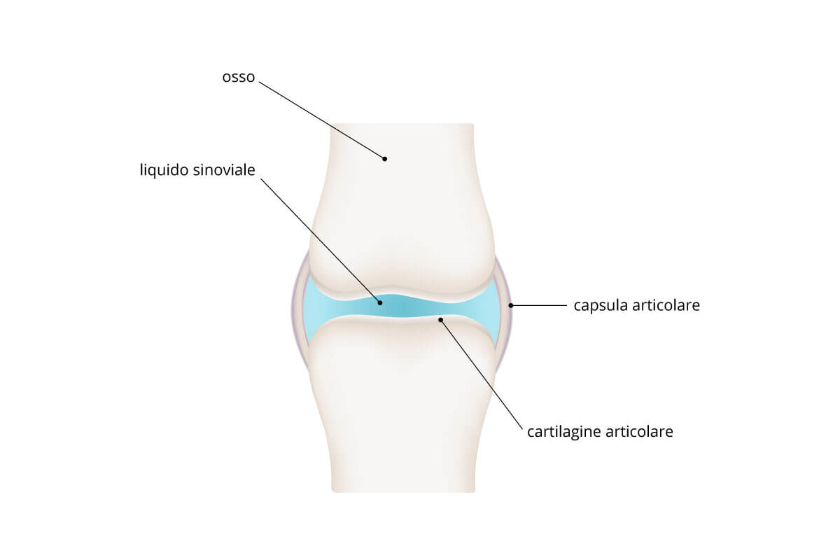 artrosi-articolazioni-liquido-sinoviale_IT