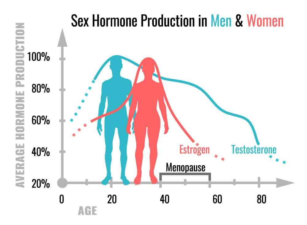 sex-hormone-production