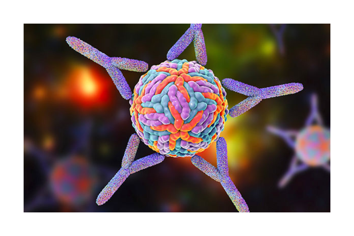 bronchoprotect-sistema-immunitario